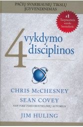 4 vykdimo disciplinos